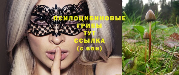 дурь Аркадак